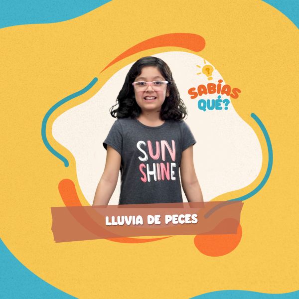 Lluvia de Peces